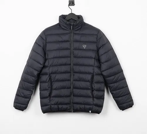 Borussia Mönchengladbach VFL BMG Steppjacke Raute Tonal Gr. L - schwarze Steppjacke mit Stehkragen, trendstark für Borussia-Fans und ideal für den Alltag