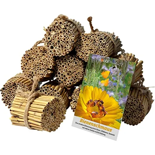 dobar® 22690e Schilfrohrhalme-Set - 1.000 STK für Wildbienenhotels - Insektenhotels-Set mit 1.000 Schilfrohrhalmen (9cm) und einer bunten Samenmischung für Bienen. Ideal für Naturschutz und sofort einsatzbereit!