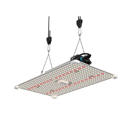 LUMii Black Blade LED 200W - Dimmbar für Wuchs und Blüte - Wachstumslampe & Leuchtmittel mit vollständig dimmbarem Vollspektrum, ideal für Pflanzenwachstum in Grow Zelten, geräuschloser Betrieb und lange Lebensdauer von 50.000 Stunden.