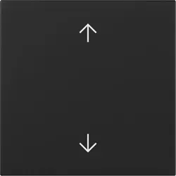Gira 3616005 Wippe mit Bedruckung Pfeilsymbole, System 55, schwarz matt