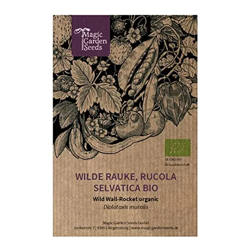 Wilde Rauke/Rucola selvatica (Diplotaxis muralis) Bio - ca. 1200 Samen