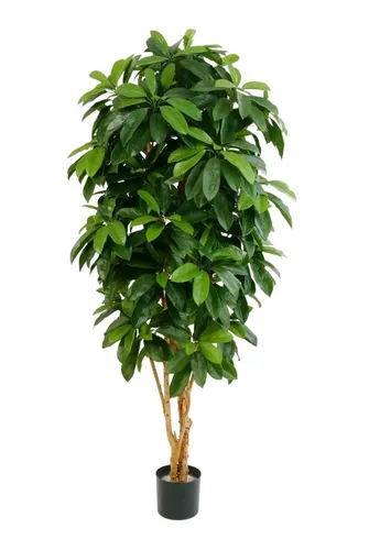 Kunstbaum Künstliche Schefflera - Ove, 172 cm, aplanta