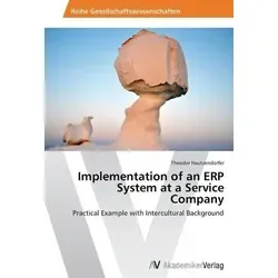 Implementation of an ERP System at a Service Company - Praktisches Beispiel für die Implementierung eines ERP-Systems in einem Dienstleistungsunternehmen mit interkulturellem Hintergrund.