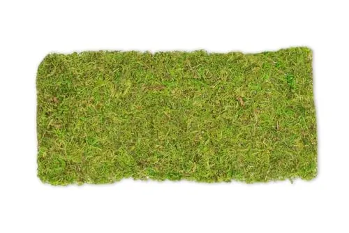 NaDeco Moosplatte ca. 38x18cm | Moosmatte | Moosbild | Moos Ziegel | Mooswand | Moosfliese | Wandbild | Flachmoos | Asia Moos | Waldmoos | Moosteppich
