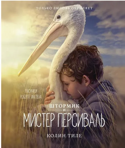 Тиле Колин | Штормик и мистер Персиваль | Книги с иллюстрациями Роберта Ингпена
