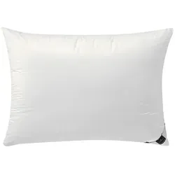 Billerbeck 3-Kammer-Kissen Aida, 40x80 cm - Hochwertiges Kopfkissen mit 80% Gänsedaunen, ideal für optimalen Schlafkomfort. Flauschiger Baumwollbezug und Maschinenwäsche bis 60°C sorgen für Pflegeleichtigkeit.