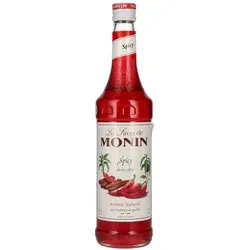 Le Sirop de Monin SPICY 0,7l