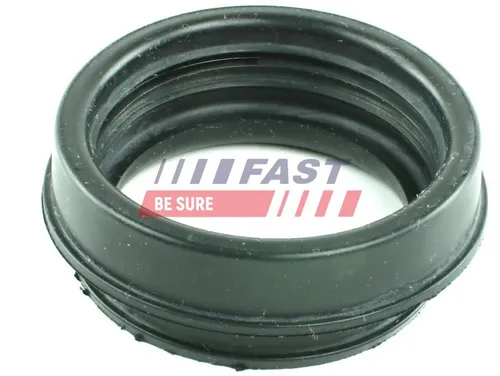 Fast Dichtring, Ansaugschlauch-Luftfiltergehäuse FT49914