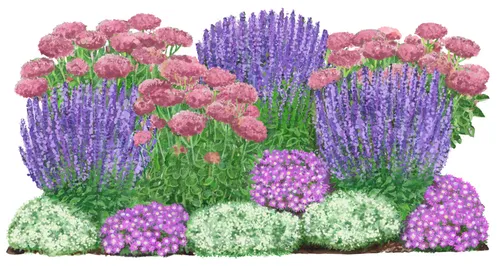 Dehner Bio Stauden-Set Terrassenglück, Landlust Kollektion – 12 Pflanzen für sonnige Standorte - Perfektes 12-teiliges Bio Stauden-Set für Terrasse oder Beet. Pflegeleichte Pflanzen, die wenig Wasser benötigen und Bienen sowie Schmetterlinge anziehen. Ideal für sonnige Standorte und langlebige Blütenpracht.