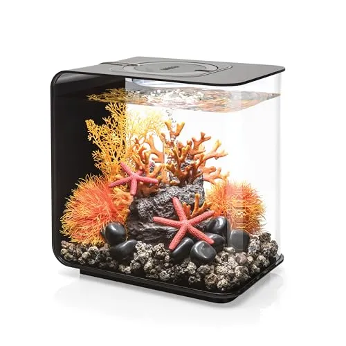 biOrb FLOW 15 LED Aquarium, schwarz – elegantes 15 L Tisch-Aquarium mit Filter-System - Aquariumszubehör: Das biOrb FLOW 15 LED ist ein innovatives, kompaktes Tisch-Aquarium mit einfachem Filtersystem und LED-Beleuchtung – ideal für jeden Raum und leicht aufzubauen.
