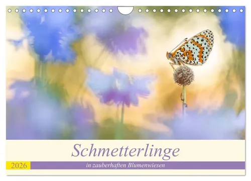 Perdita Petzl | Schmetterlinge in zauberhaften Blumenwiesen (Wandkalender...
