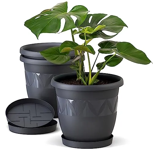 Plastard Blumentopf 3er Set 30 cm Anthrazit mit Untersetzer - Hochwertige Blumentöpfe aus robustem Kunststoff, ideal für Innen und Außen. Mit witterungsbeständigem Design und praktischem Untersetzer für effektive Wasserableitung. Perfekt für jede Pflanze!