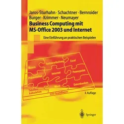 Business Computing mit MS-Office 2003 und Internet von Anke Jaros-Sturhahn/ Konrad Schachtner/ Edward Bernroider/ Michael Burger/ Robert Krimmer / Spr