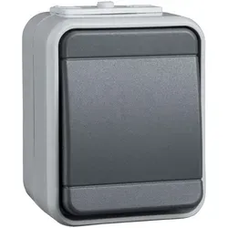 Elso 441609 Universal-Schalter, 10A, Steckklemme, Aqua-Top, licht-/basaltgrau matt