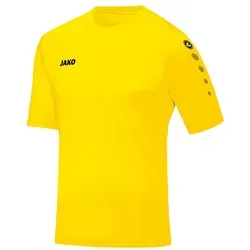 Jako Fußballtrikot Team KA Trikot (1-tlg) default M