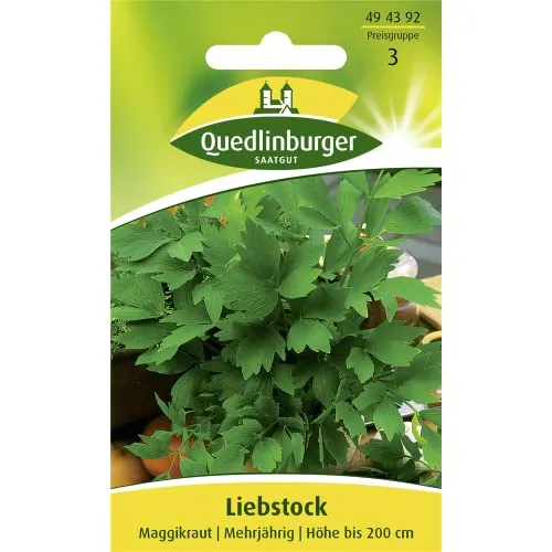 Liebstock, Maggikraut, 1 Tüte Samen