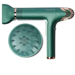 LOVE FOR HAIR Haartrockner Silk Dryer Grün Rosé - Haartrockner mit bürstenlosem Hochgeschwindigkeitsmotor, 2000W Leistung und selbstreinigendem System - für schnelles Trocknen und Pflege der Haare.