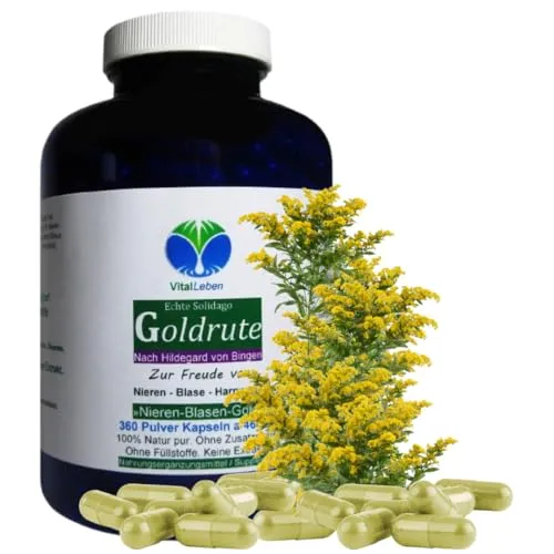 Echte GOLDRUTE Solidago Goldrutenkraut 360 Kapseln - Natürliche Unterstützung für Nieren, Blase und Harnwege - Rein pflanzlich und ohne Zusatzstoffe für eine gesunde Durchspülung.