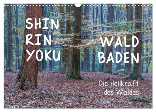 Irma van der Wiel www. kalender-atelier. de | Shinrin yoku - Waldbaden 2025...
