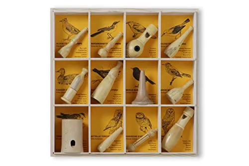 KOOKOO Vogelpfeifen 12er Set mit Aufbewahrungsbox - Handgefertigte Vogelpfeifen für authentische Naturgeräusche. Ideal für Schiedsrichter, Trainer und Naturfreunde – kompakt und praktisch in der Aufbewahrungsbox.