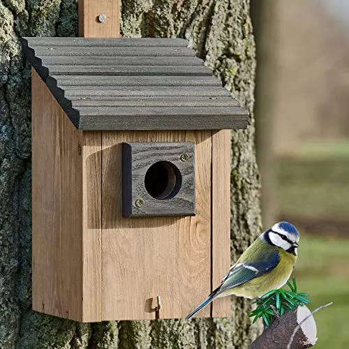 Zooprinz Nistkasten für Wildvögel – Wetterfestes Vogelhäuschen aus massivem Holz - Nistkästen für Wildvögel, wetterfest und sicher gegen Nesträuber. Ideal für Singvögel wie Meisen und Amseln. Einfache Reinigung und aus hochwertigem Vollholz gefertigt.