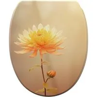 Sanilo WC-Sitz mit Absenkautomatik & Top Fix – Hochwertiger Toilettendeckel in vielen Designs - Toilettendeckel mit Absenkautomatik, antibakterieller Oberfläche und einfacher Montage von oben – ideal für ein stilvolles Badezimmer.