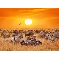 Papermoon Fototapete VLIES-Tapete Premium "Afrikanische Antilopen und Zebras", Kleister KOSTENLOS, reduziert, 3D-Effekt, restlos trocken abziehbar, (776), Wandtapete Bild Dekoration Wand-Dekor Motiv Tapete Poster 5 m x 2.8 m