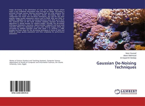 Gaussian De-Noising Techniques Nora Youssef