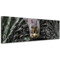 Leinwanddruck Eichhörnchen 120x40 cm - Wunderschöner Leinwanddruck mit einem Eichhörnchen-Motiv, ideal für jedes Zuhause, bringt Naturflair und eine gemütliche Atmosphäre in Ihre Räume.