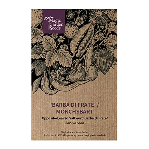 Barba Di Frate/Mönchsbart (Salsola soda) - ca. 200 Samen