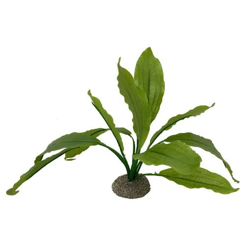 Aqua Della Aquarium Dekoration Echinodorus 2 Grün 24cm Pflanze Kunstharzfuß