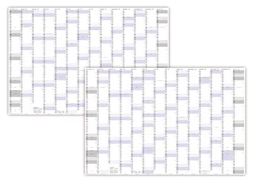 XXXL Wandkalender Special A0 2025 + 2026 nass abwischbar (Format 120 x 80cm) Jahresplaner Wandplaner gerollt mit extra großen Tageskästchen
