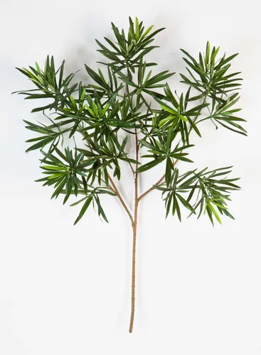 Kunstzweig Podocarpus CHIKO, 65 cm - Künstliche Steineibe mit 440 Blättern - Dekorative Kunstpflanze mit 440 Blättern, ideal für Innenräume. Pflegeleicht und langlebig, perfekt für eine ansprechende Raumgestaltung.