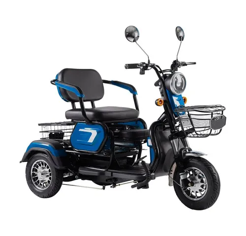 ENEWAY Elektromobil Bari - ETrike 3-Rad, 6 km/h - Elektro-Dreirad mit Straßenzulassung, spritzwassergeschützt und federnd. Ideal für sicheres Fahren ohne Führerschein und Helm, Reichweite bis 25 km.