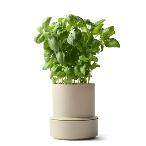 Crushgrind Billund Blumentopf mit Bewässerungssystem Beige | Self Watering Pot für Kräuter & Pflanzen mit 9 cm Ø | Selbstbewässerungstopf aus hochwertigen, nachhaltigen Materialien (Cumin)