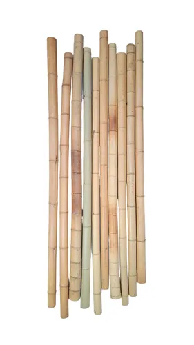 Bambusstangen Bambus Bambusrohre Bambusstange Bambushalm 20 Stk. 195 cm Ø 3-4 cm