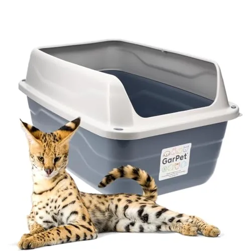 GarPet Katzentoilette XXL - Extra hohe offene Katzentoilette mit hohem Rand