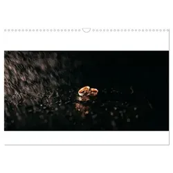 Trauringe (Wandkalender 2025 DIN A3 quer) CALVENDO Monatskalender von Vicky & Alex/ Calvendo / Calvendo / Kalender