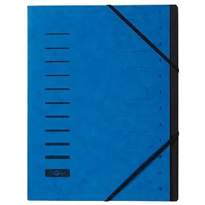 PAGNA Ordnungsmappe Ordnungsmappen 12 Fächer blau, 1 St.