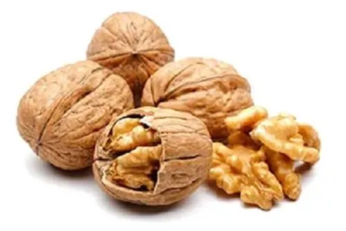 Natural Food Walnüsse mit Schale - 5 kg hochwertige, vegane Nüsse - Walnüsse in der Schale, reich an Omega-3-Fettsäuren und ideal für Müsli, Desserts oder Salate. Frisch und unverarbeitet aus Europa für gesunde Ernährung.