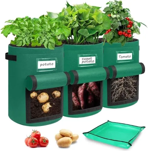 Airminti 3er Set Kartoffel Pflanzsack 38L (10 Gallonen) - Premium Vliesstoff Kartoffelsack mit Erntefenster, Pflanzmatte & Verstärkten Griffen - Pflanztasche für Kartoffeln, Tomaten & Gemüse (Grün)