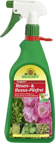 Neudorff Pflanzen-Pilzfrei Fungisan für Rosen und Buxus, 1 Liter - Effektives Mittel zur Unterstützung der Pflanzenpflege gegen Pilzbefall, ideal für Rosen und Buxus. Praktische 1-Liter-Flasche für einfachen Einsatz im Garten.