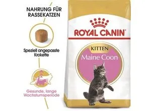 Royal Canin Maine Coon Kitten Trockenfutter 10 kg - Katzenfutter für Kätzchen (4-15 Monate) mit speziellen Nährstoffen für kräftigen Knochenbau und gesunde Gelenke, unterstützt das Immunsystem und sorgt für optimale Zahnhygiene.