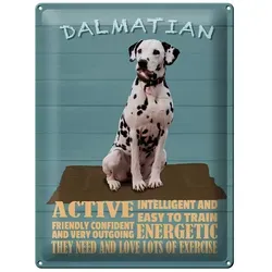 Femer GmbH Metallschild Spruch 30x40cm Dalmatian Hund active and easy, (1 St), gewölbte Oberfläche, abgerundete Ecken, umgeschlagene Kanten