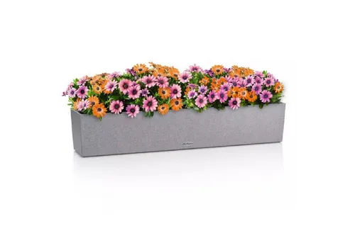 Lechuza Blumenkasten BALCONERA Stone 100 - Steingrau - Garten-Zubehör mit intelligentem Erdbewässerungssystem und 6 Liter Wasserspeicher, ideal für Balkon und Fensterbank, aus bruchsicherem, wetterfestem Kunststoff.