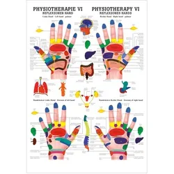 Reflexzonen Hand Poster Anatomie 70x50 cm medizinische Lehrmittel