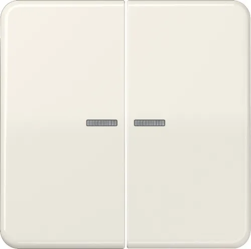 Jung KNX RF Taster 2fach CD 10921 ST RF – Innovativer Bussystem-Tastsensor - Hochwertiger KNX RF Taster mit 2 Tasten, ideal für die intelligente Gebäudeautomation. Robustes Duroplast-Material und glänzende Oberfläche für elegante Integration.