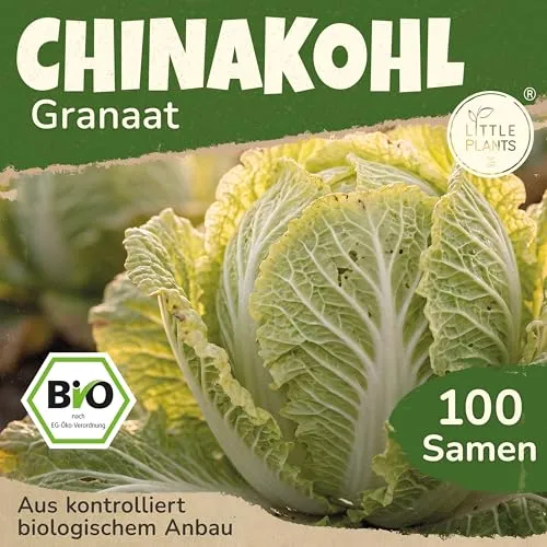 Little Plants BIO Chinakohl Samen 100 China Kohl Granaat Gemüsesamen Samenfest für Gemüsegarten Gemüse Samen Hochbeet
