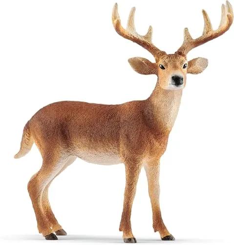 Schleich WILD Life, Weißwedelhirsch 14818, detailgetreue Tierfiguren, Zoo Spielzeug, Geschenk für Jungen & Mädchen, Deko für Geburtstag oder Weihnachten, Spielfigur ab 3 Jahren, 11 x 5 x 10 cm