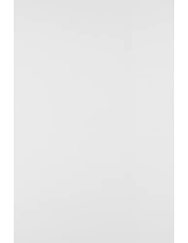 Netuno 100 Blatt Bristol-Papier Weiß DIN A4 21 x 29,7 cm 170g weißer Bastelkarton a4 zum Drucken Fotokarton dickes Kartonpapier stabil Karton zum Basteln DIY Karten Zeichenkarton Malkarton